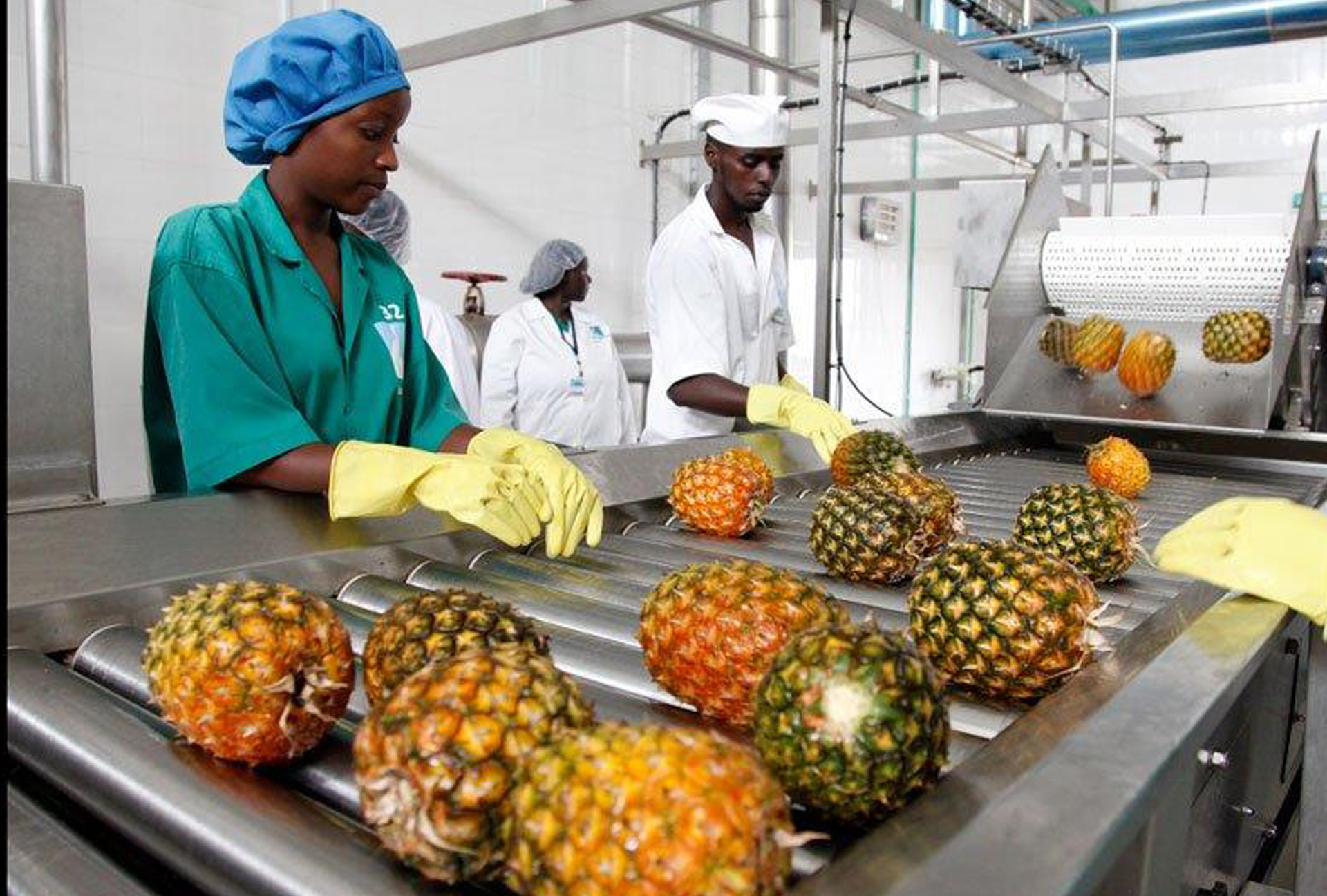 Agricultural Value Addition